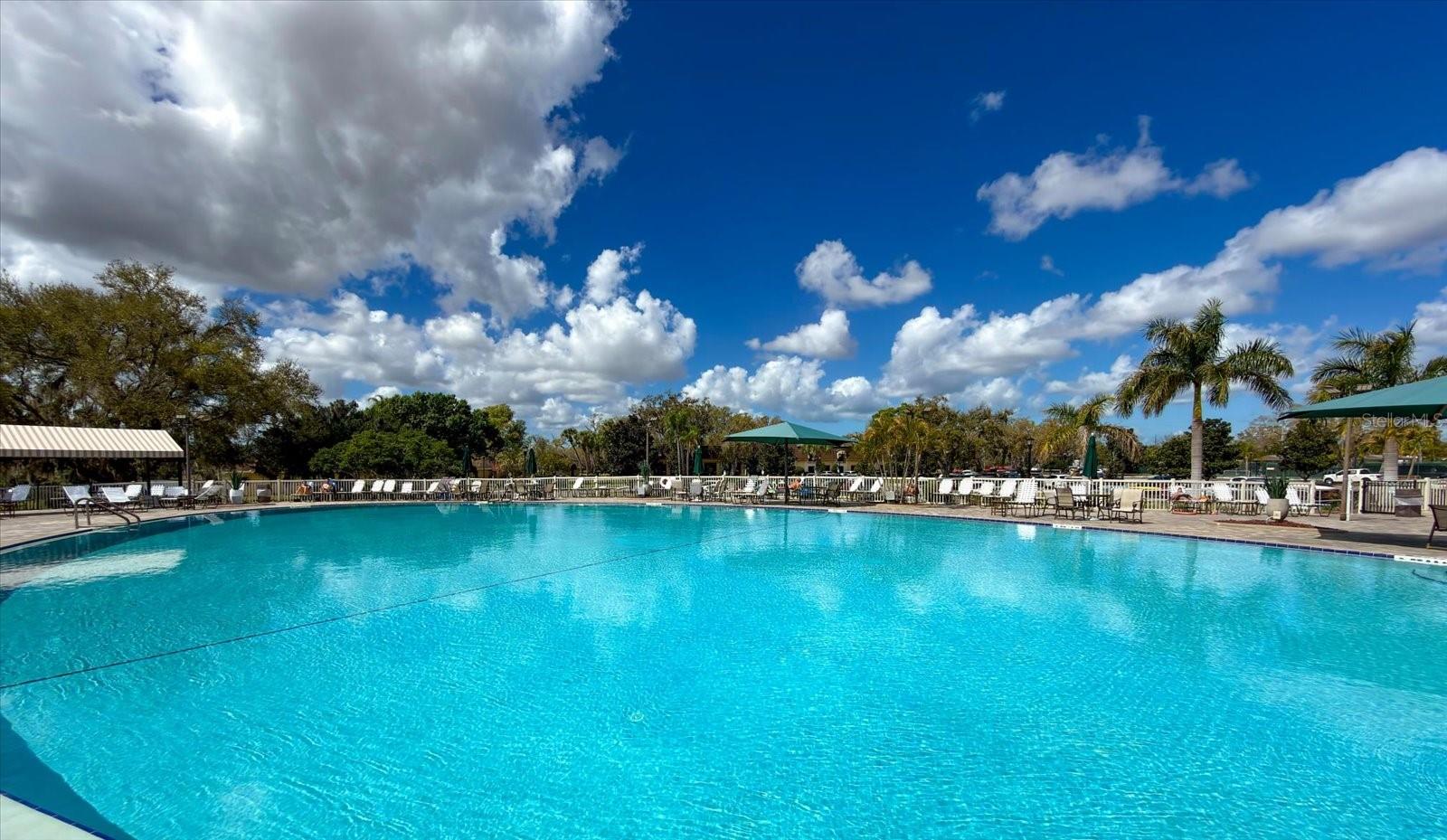 205 KINGS BLVD #62, SUN CITY CENTER, FL, 33573