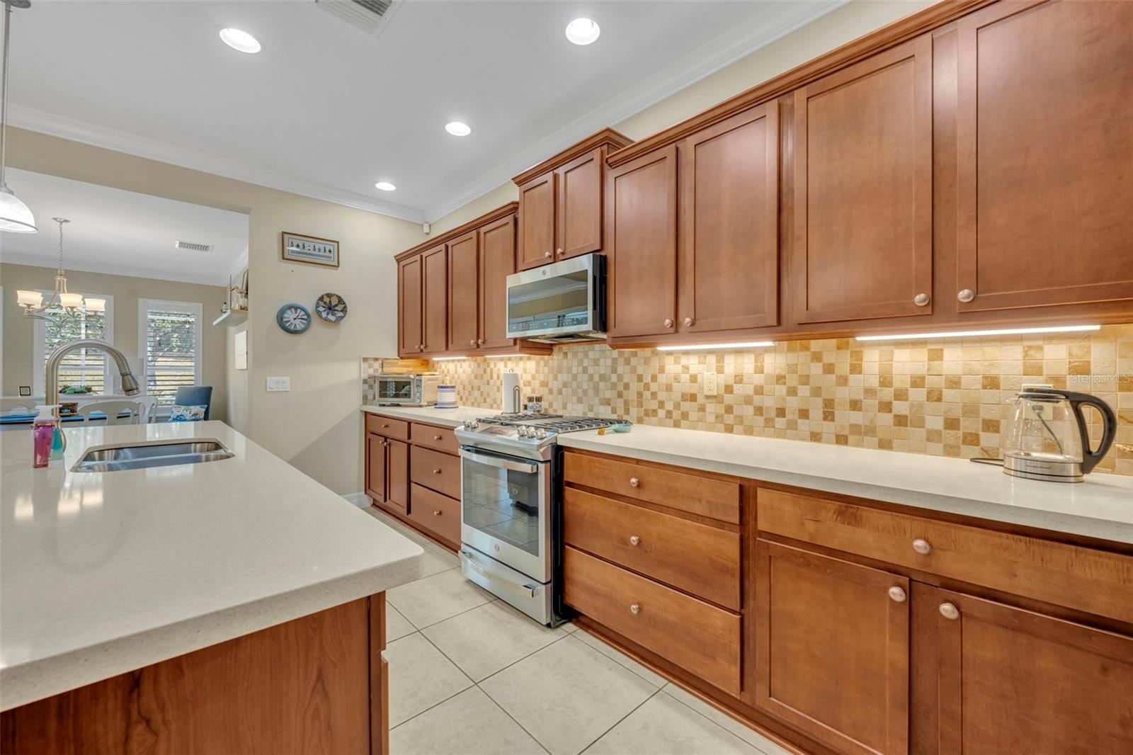 115 SALT MARSH LN, GROVELAND, FL, 34736