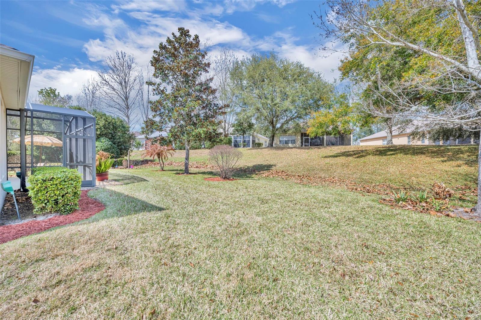 115 SALT MARSH LN, GROVELAND, FL, 34736