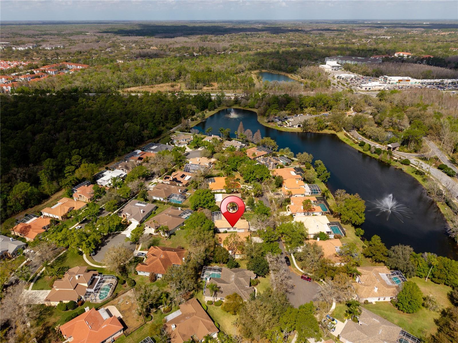 17918 HOLLY BROOK DR, TAMPA, FL, 33647