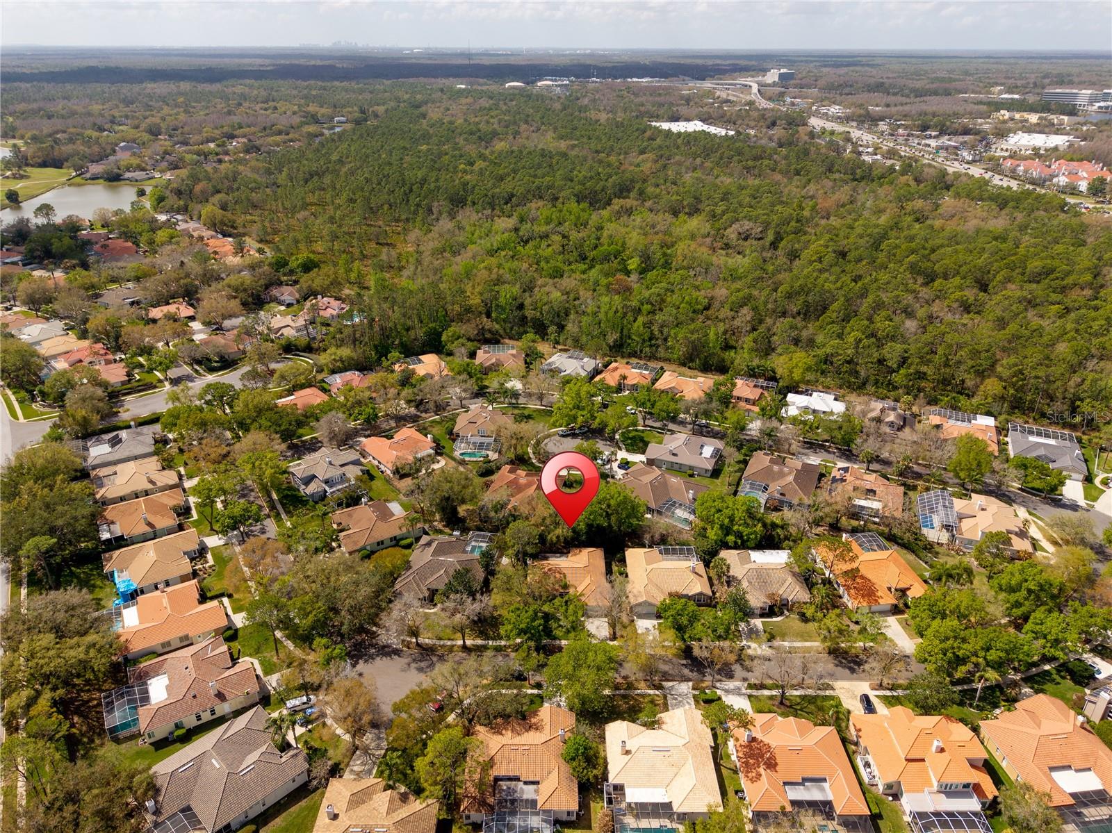 17918 HOLLY BROOK DR, TAMPA, FL, 33647