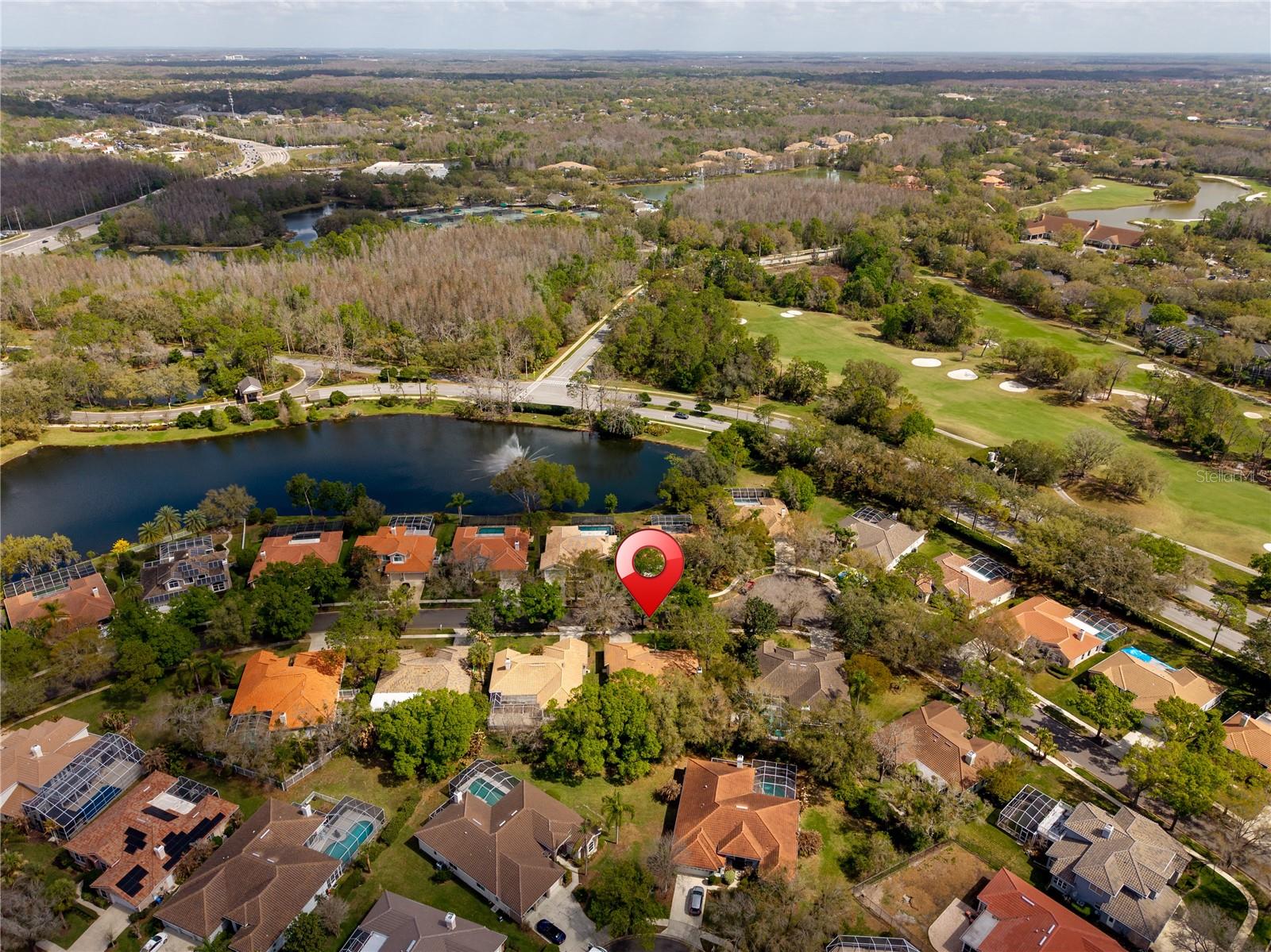 17918 HOLLY BROOK DR, TAMPA, FL, 33647