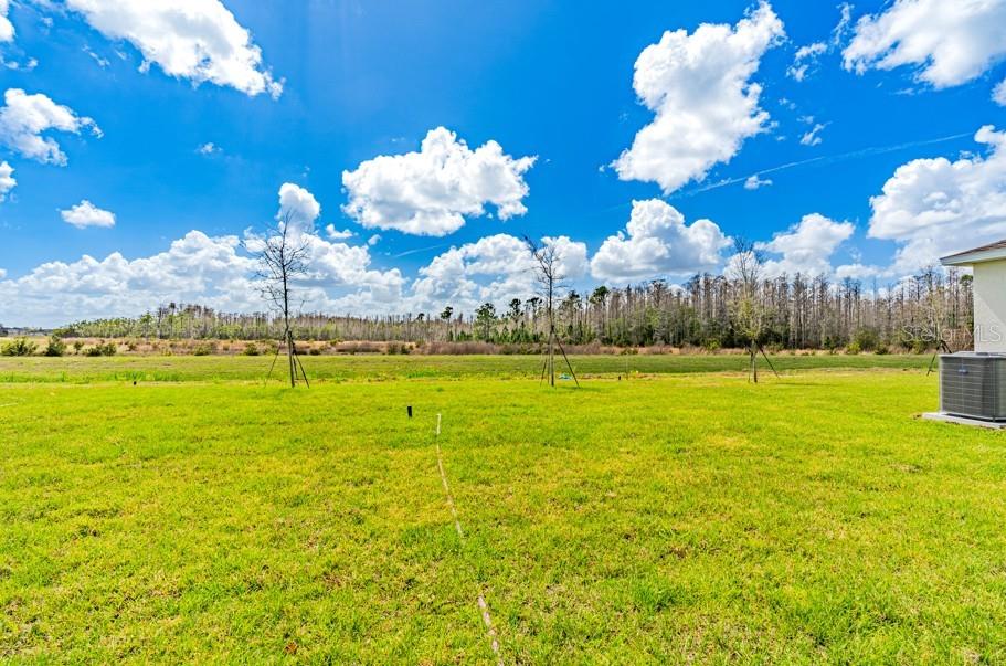 3644 ROLLING RIDGE BND, DAVENPORT, FL, 33837