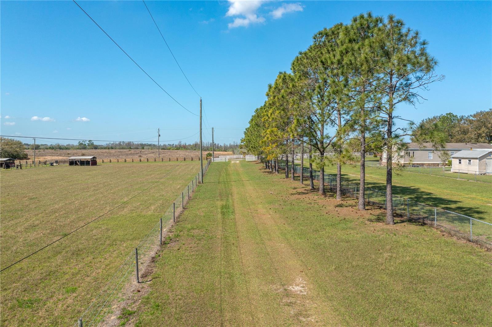 8236 LAKE LOWERY RD, HAINES CITY, FL, 33844