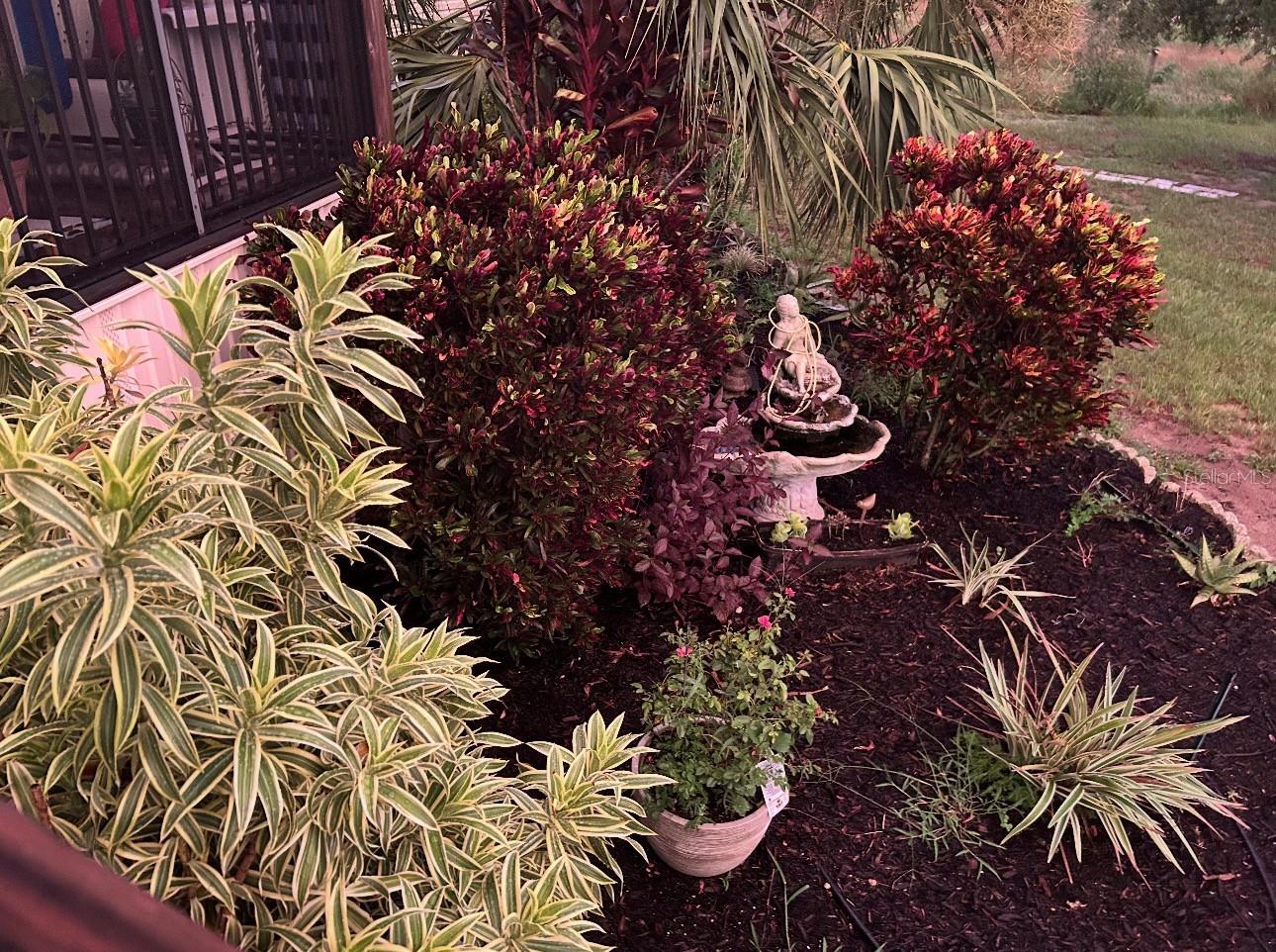 8236 LAKE LOWERY RD, HAINES CITY, FL, 33844