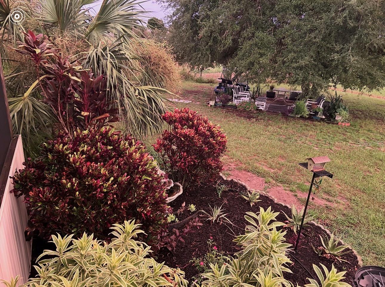 8236 LAKE LOWERY RD, HAINES CITY, FL, 33844