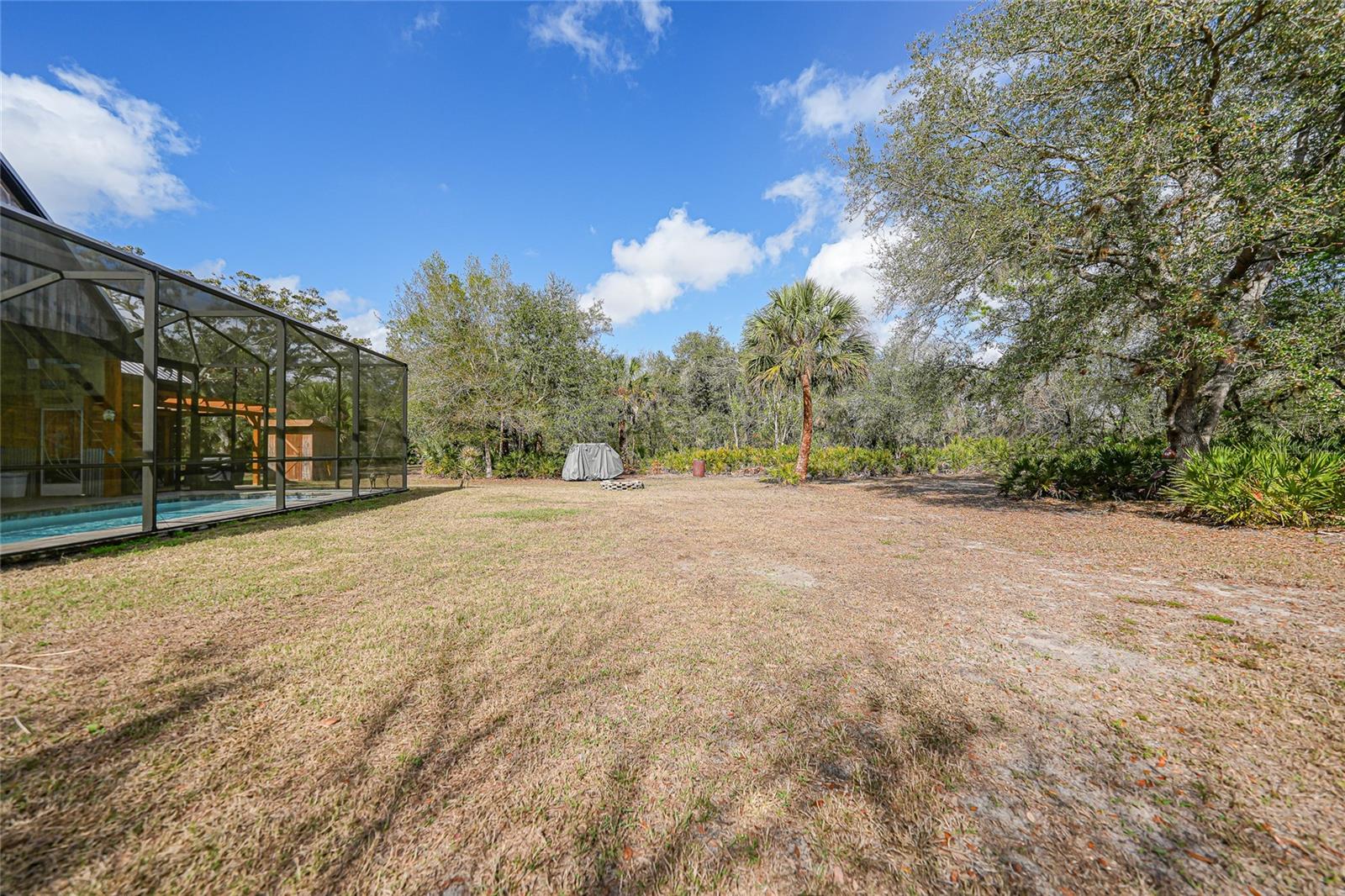 9796 SW SOUTHERN DREAMS RD, ARCADIA, FL, 34269
