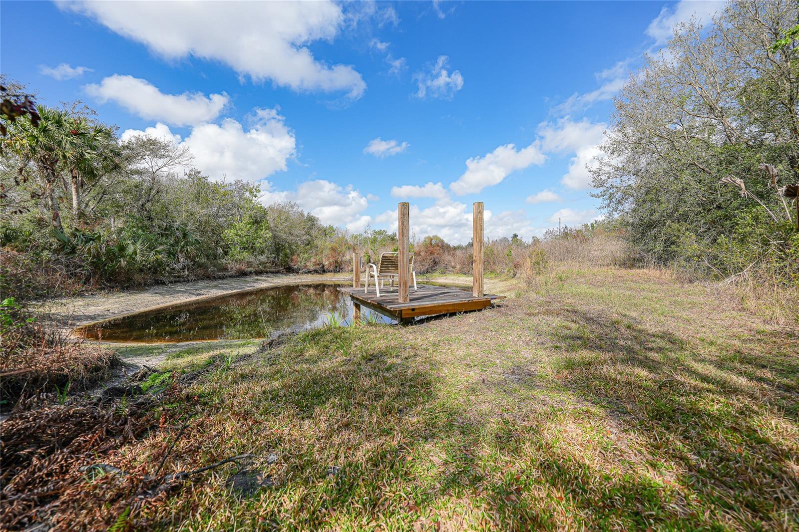 9796 SW SOUTHERN DREAMS RD, ARCADIA, FL, 34269