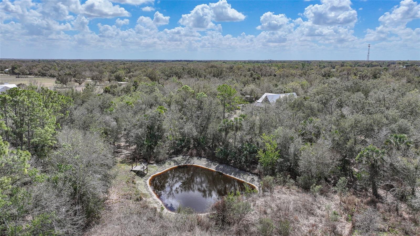 9796 SW SOUTHERN DREAMS RD, ARCADIA, FL, 34269