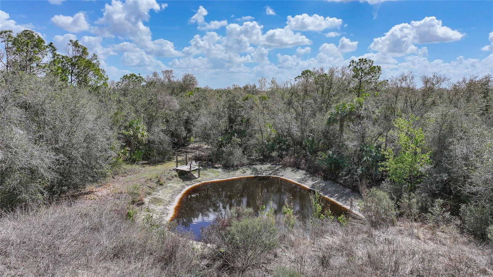 9796 SW SOUTHERN DREAMS RD, ARCADIA, FL, 34269