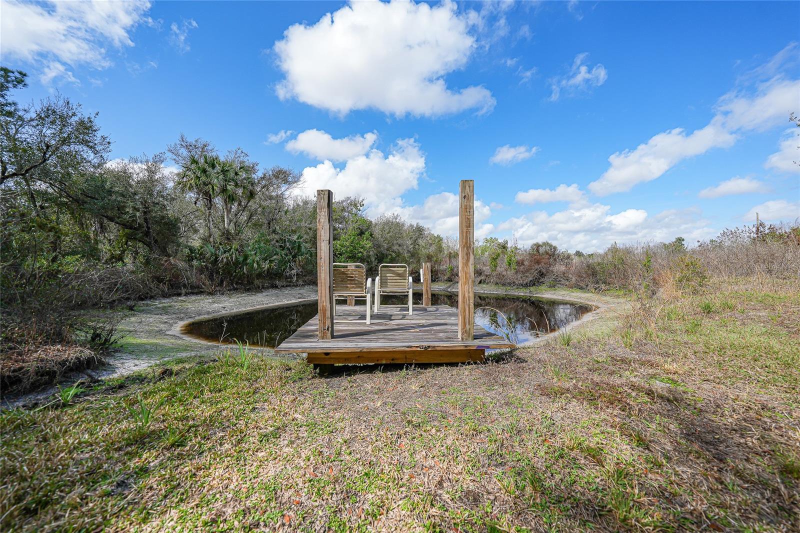 9796 SW SOUTHERN DREAMS RD, ARCADIA, FL, 34269