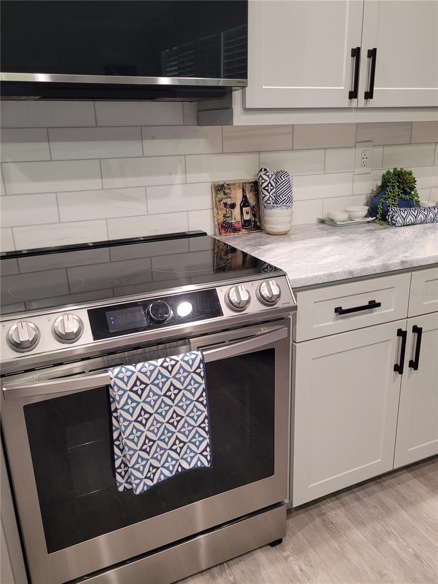 21205 CALLE ROSA DR #10, LAND O LAKES, FL, 34637