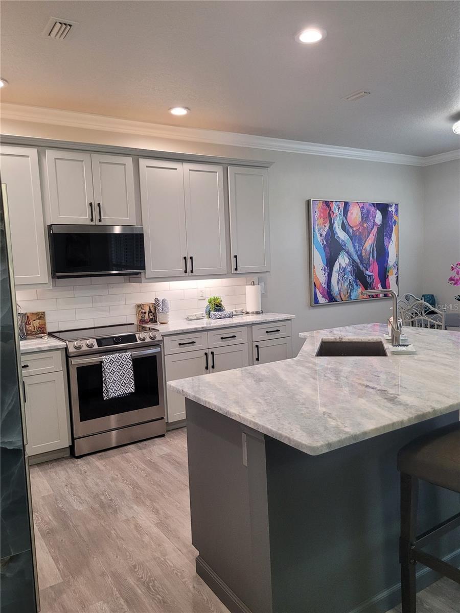 21205 CALLE ROSA DR #10, LAND O LAKES, FL, 34637