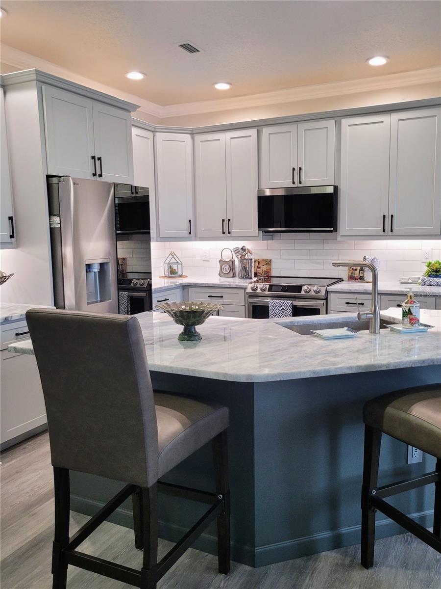 21205 CALLE ROSA DR #10, LAND O LAKES, FL, 34637