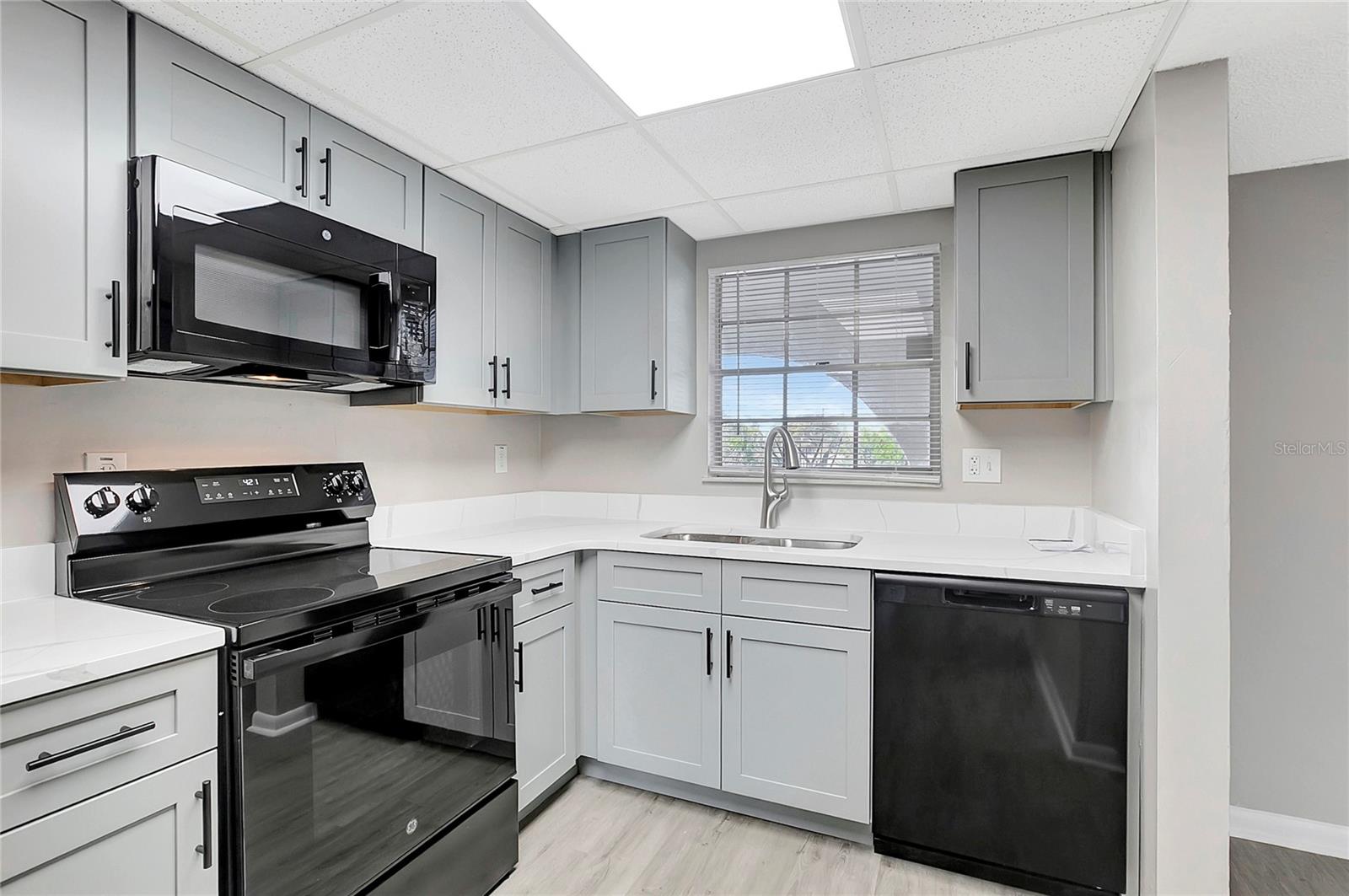 709 RUSSELL LN #C221, BRANDON, FL, 33510