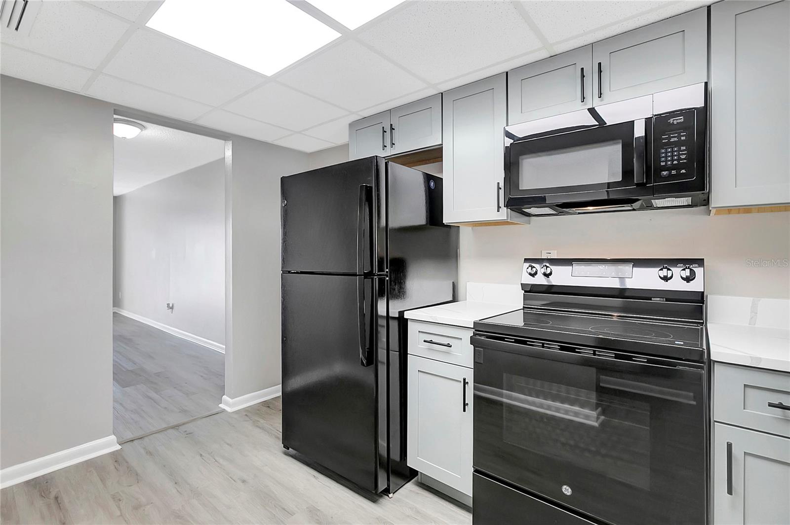 709 RUSSELL LN #C221, BRANDON, FL, 33510