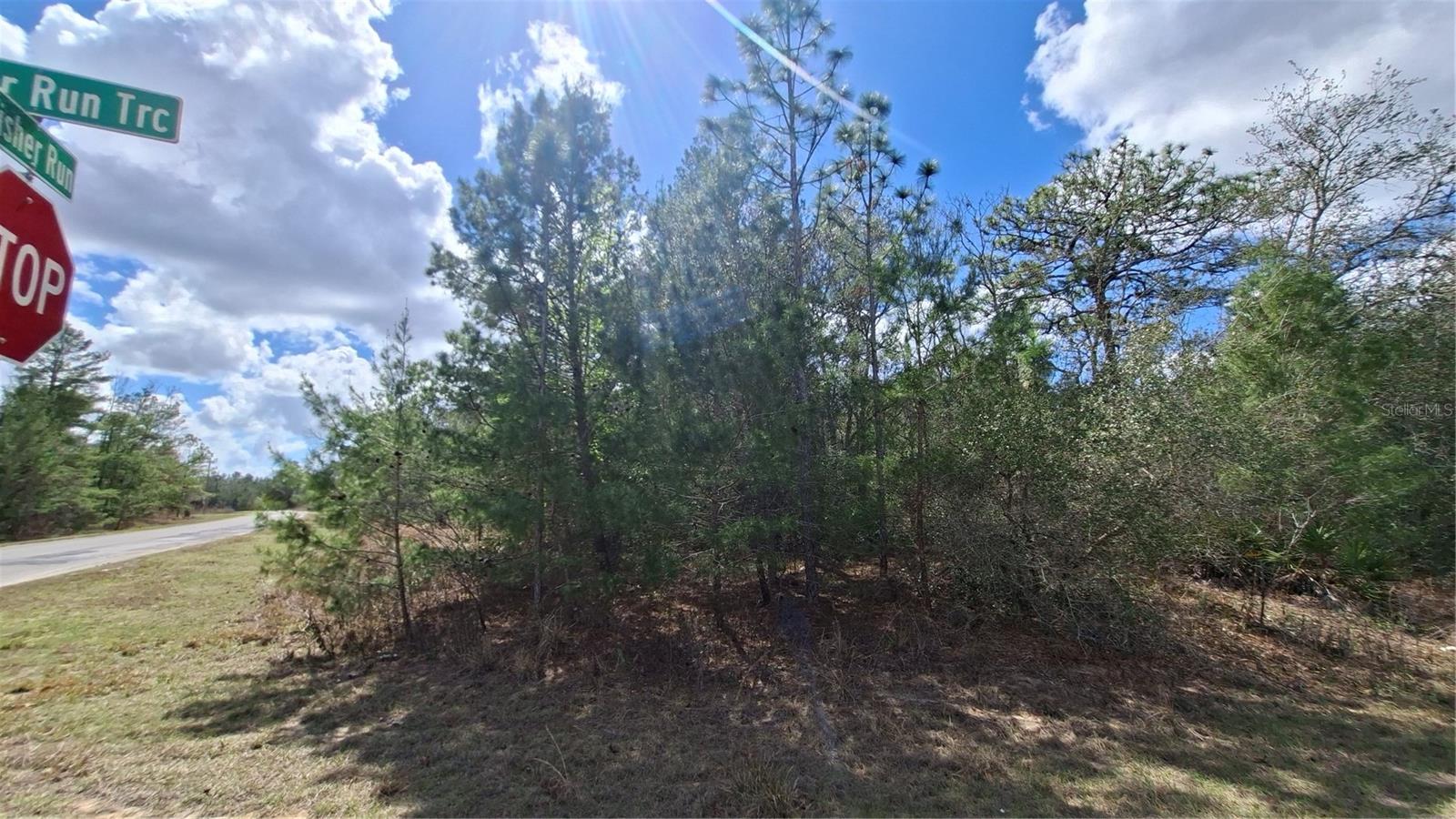 FISHER RUN, OCKLAWAHA, FL, 32183