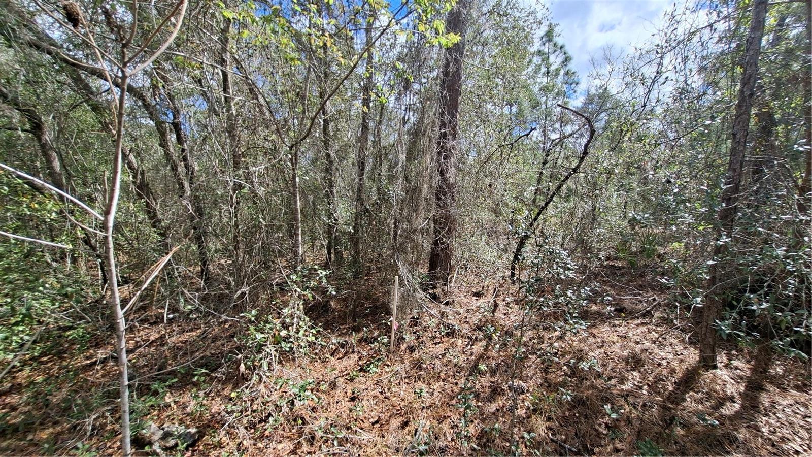 FISHER RUN, OCKLAWAHA, FL, 32183