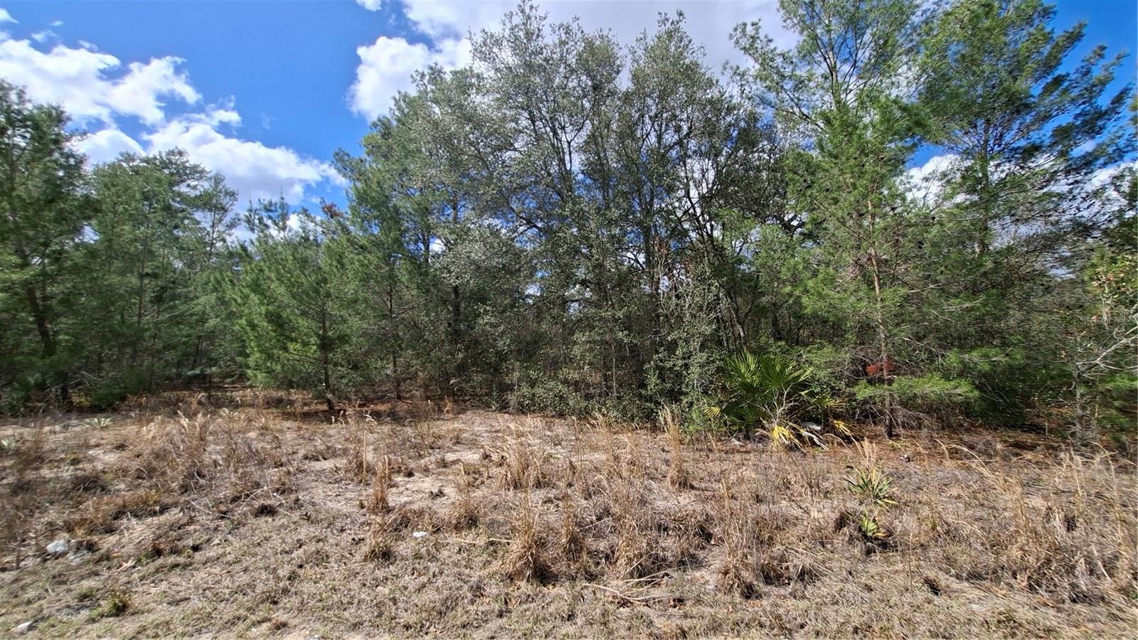 FISHER RUN, OCKLAWAHA, FL, 32183