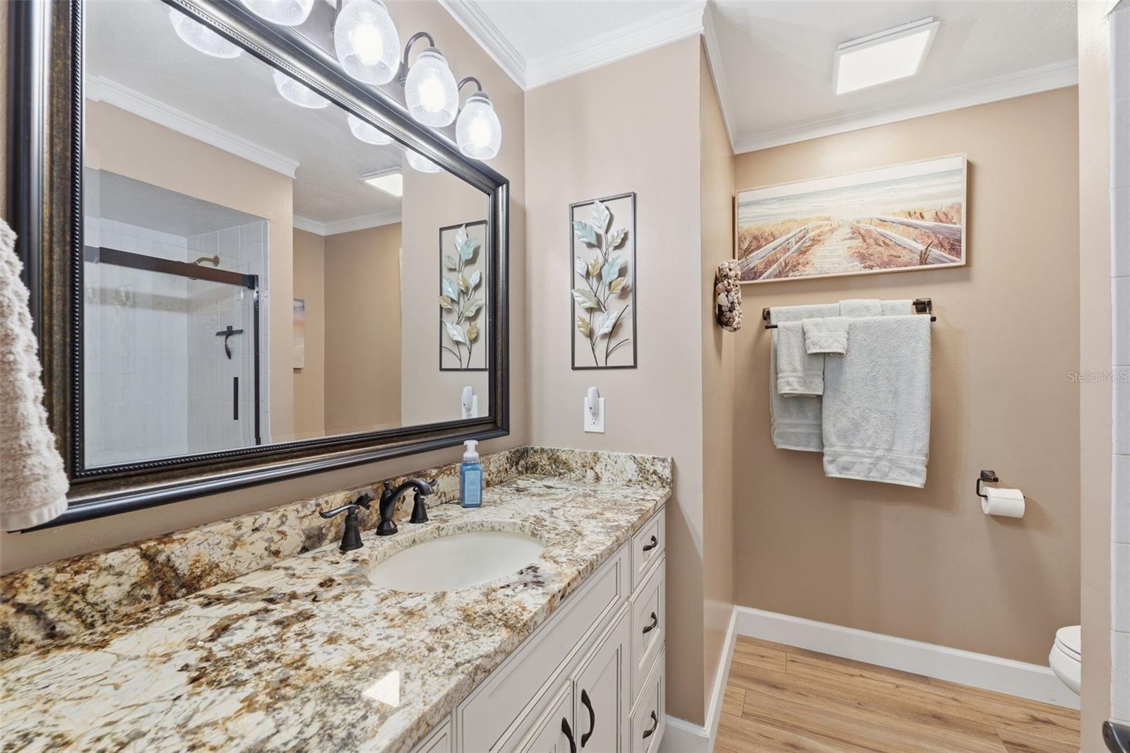 12721 CARTE DR, TAMPA, FL, 33618