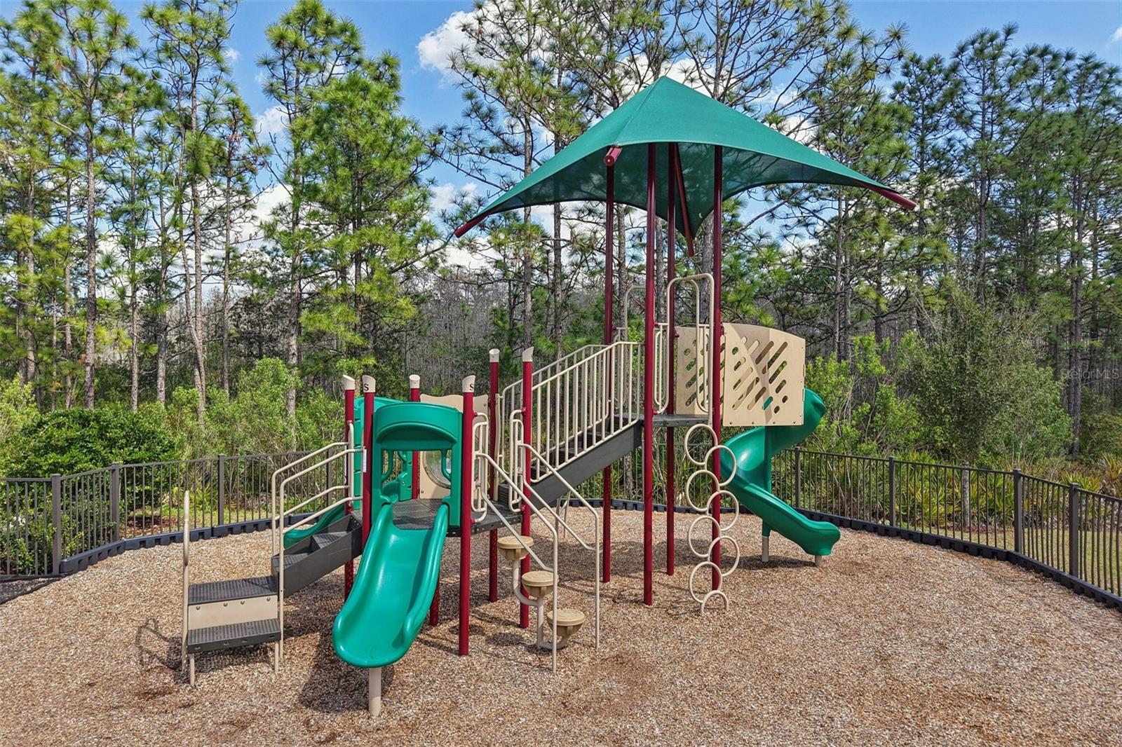 5217 SAPLING SPROUT DR, ORLANDO, FL, 32829