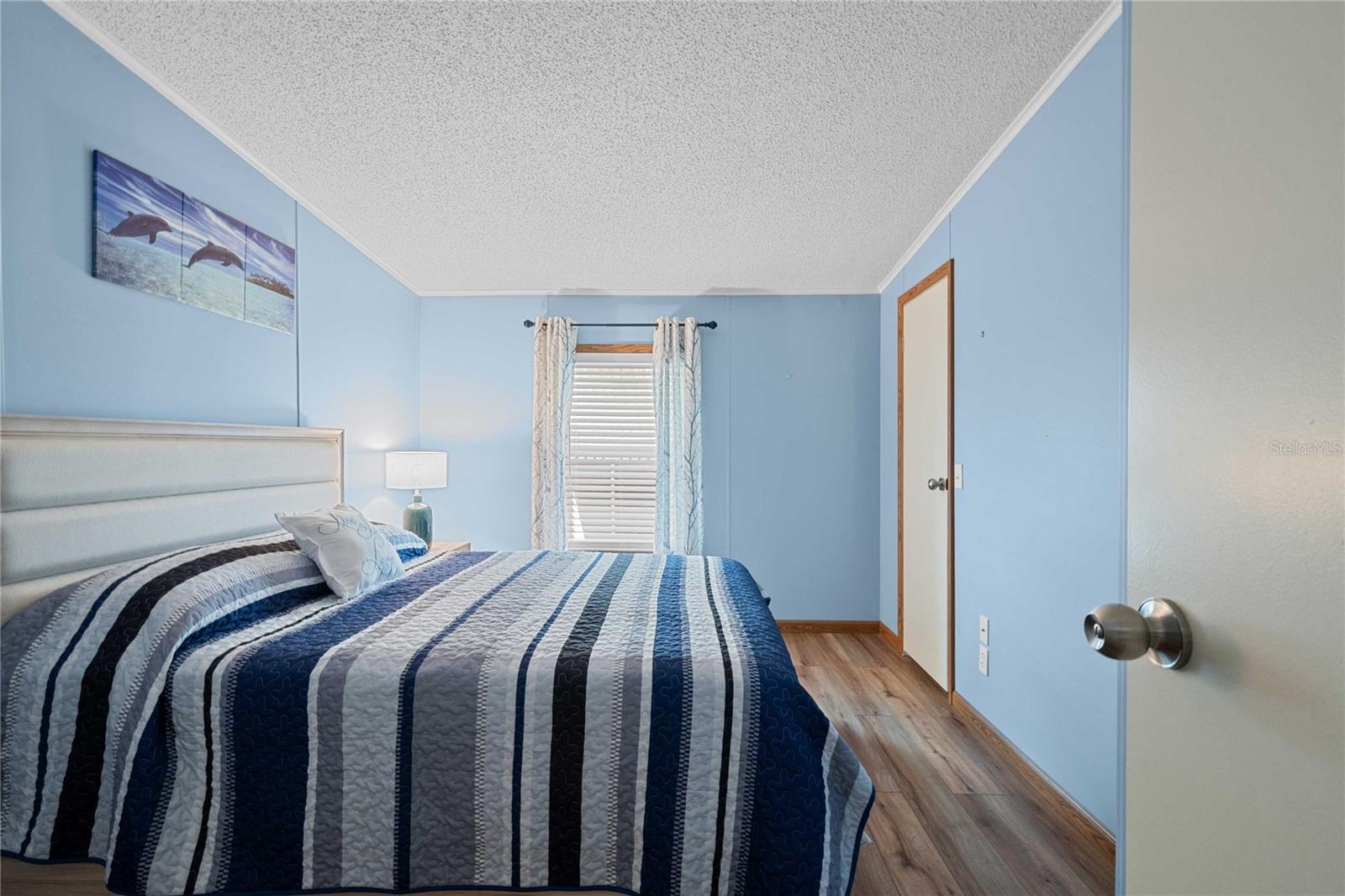 7039 SIESTA ST, ZEPHYRHILLS, FL, 33541