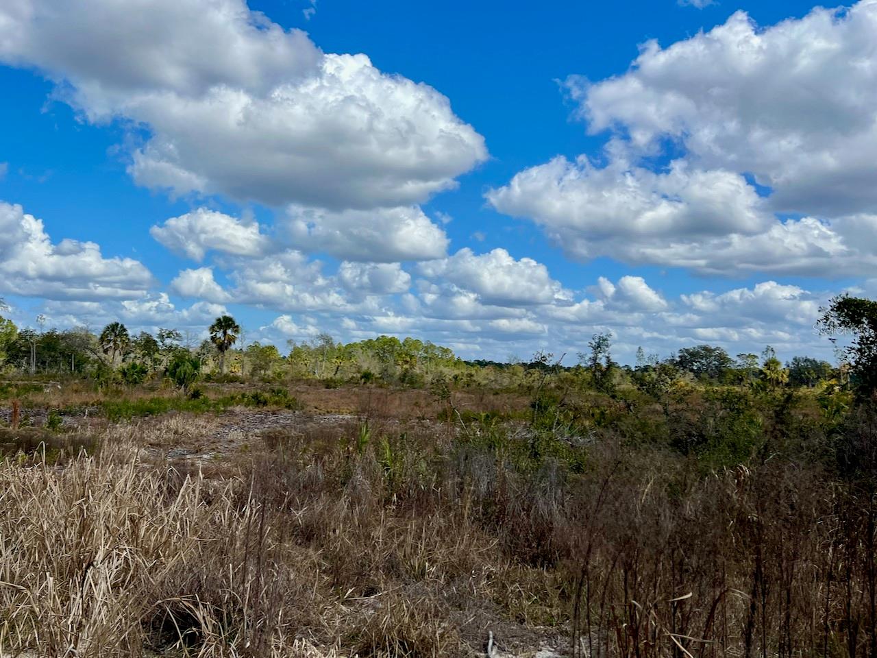 SHILOH RD, CEDAR KEY, FL, 32625