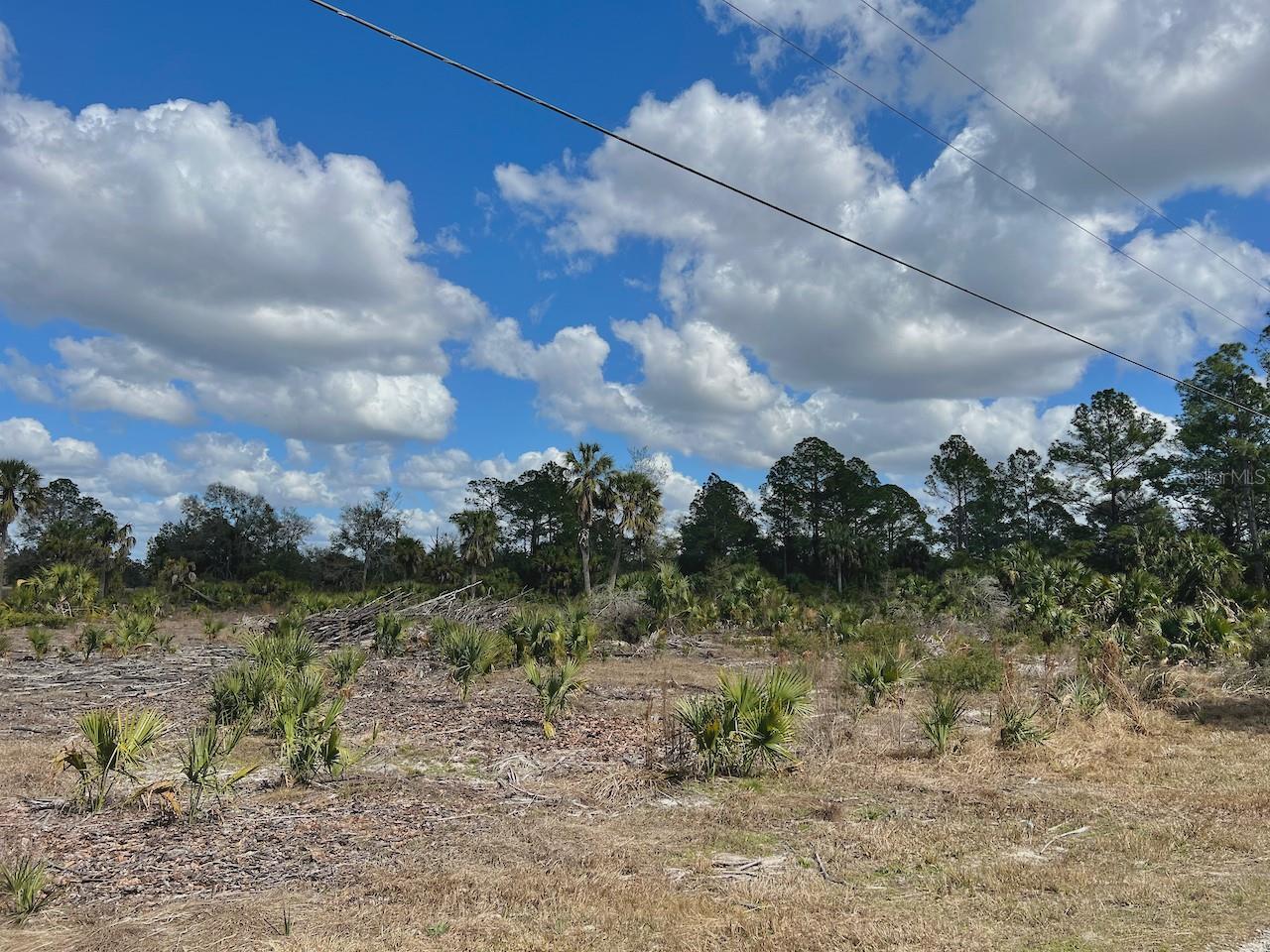 SHILOH RD, CEDAR KEY, FL, 32625