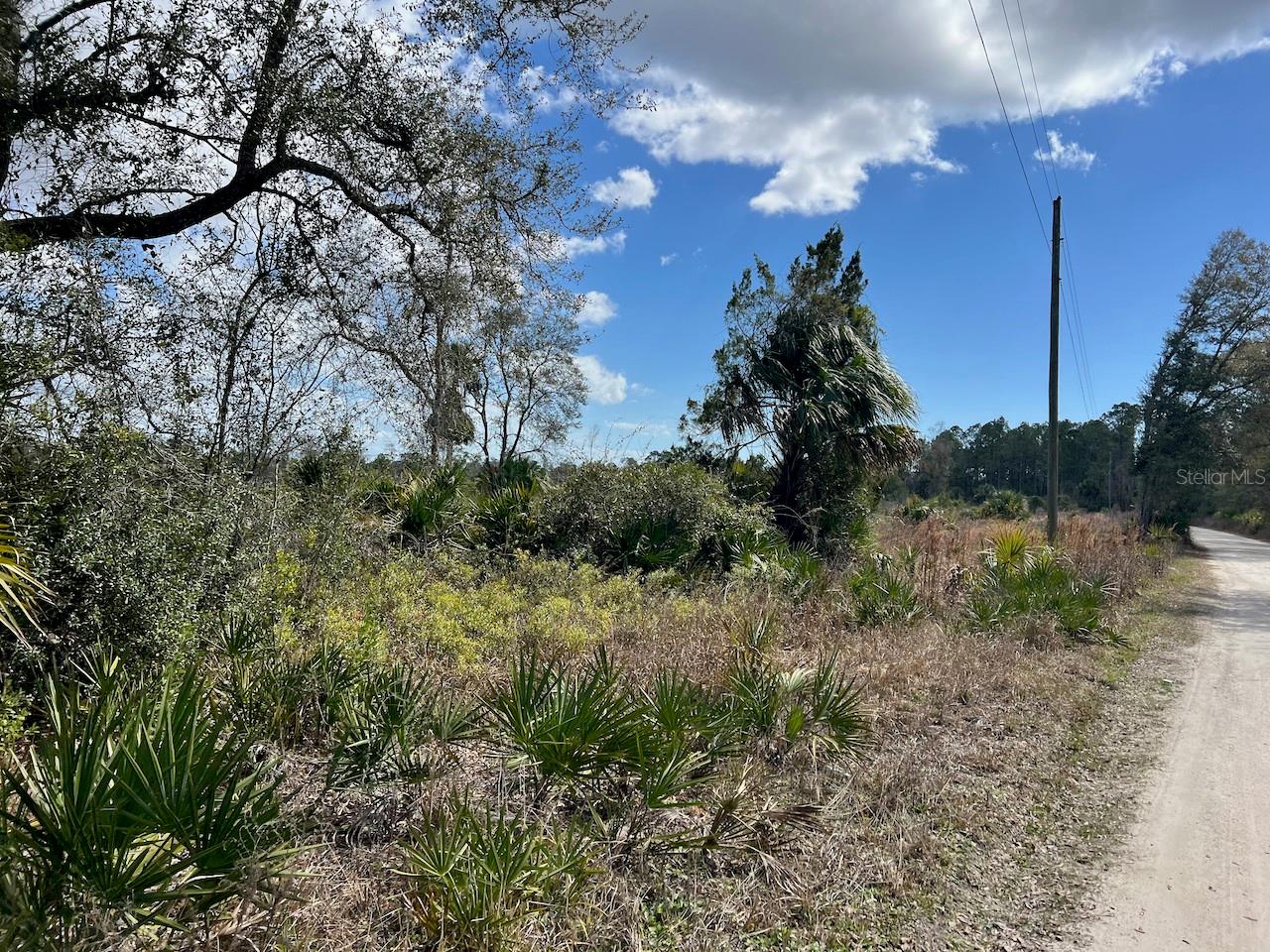 SHILOH RD, CEDAR KEY, FL, 32625