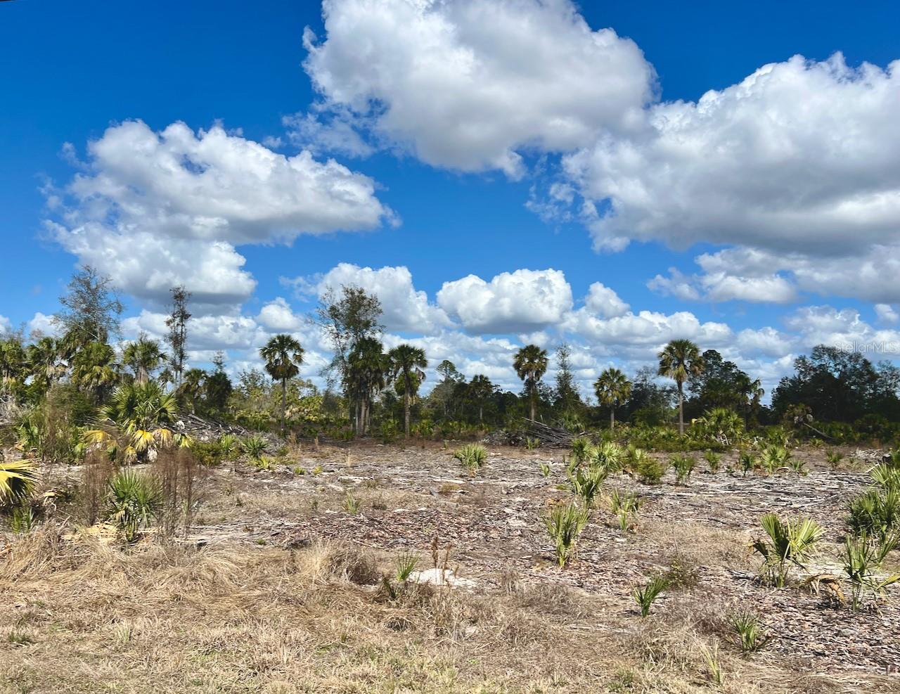 SHILOH RD, CEDAR KEY, FL, 32625