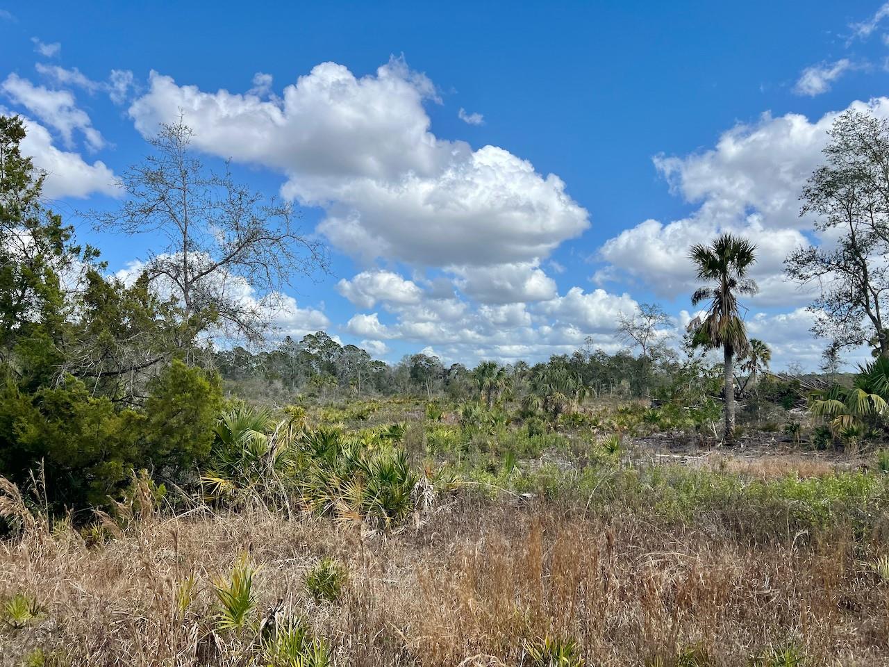 SHILOH RD, CEDAR KEY, FL, 32625