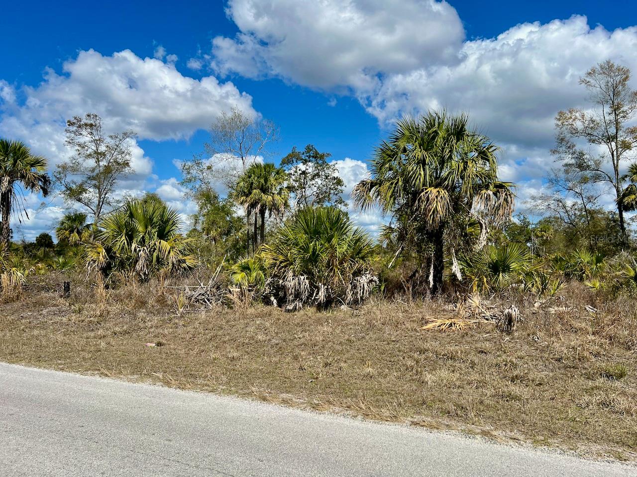 SHILOH RD, CEDAR KEY, FL, 32625