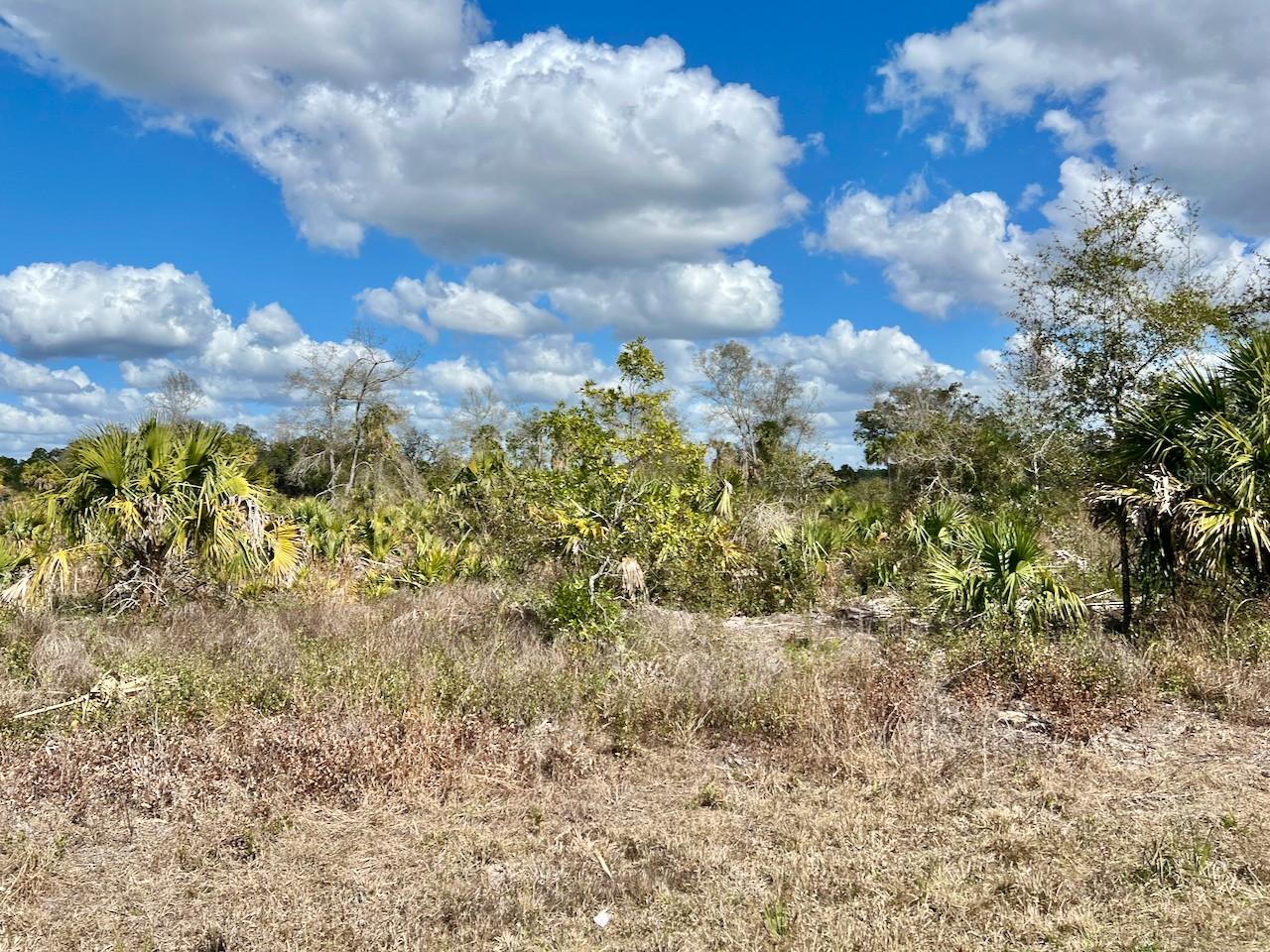 SHILOH RD, CEDAR KEY, FL, 32625