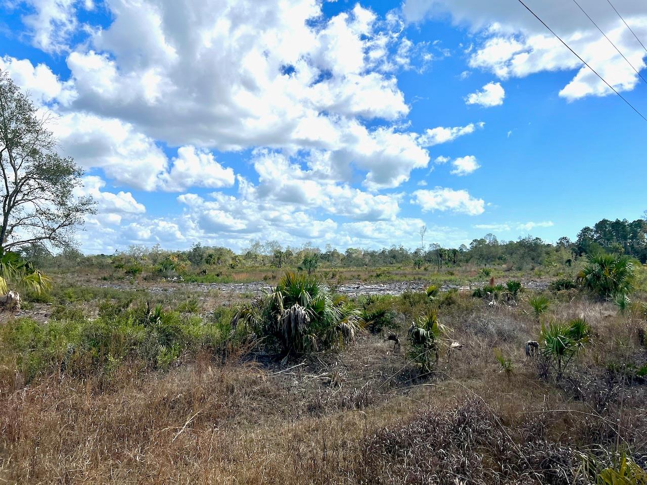 SHILOH RD, CEDAR KEY, FL, 32625