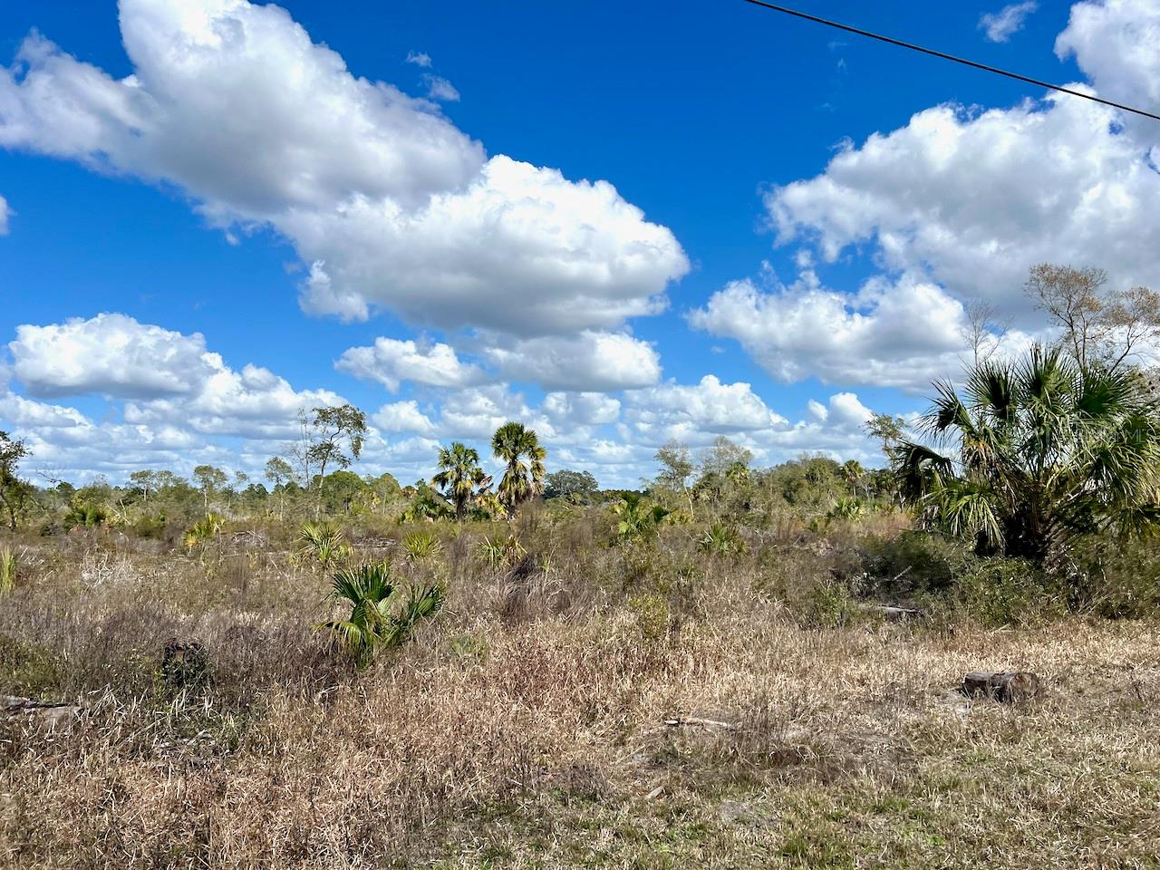 SHILOH RD, CEDAR KEY, FL, 32625