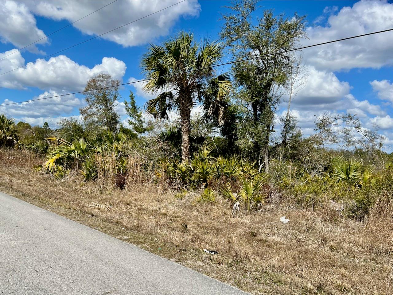 SHILOH RD, CEDAR KEY, FL, 32625