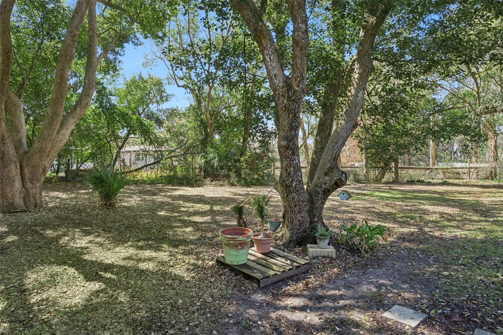 11722 LAKE MINNEOLA SHRS, MINNEOLA, FL, 34715