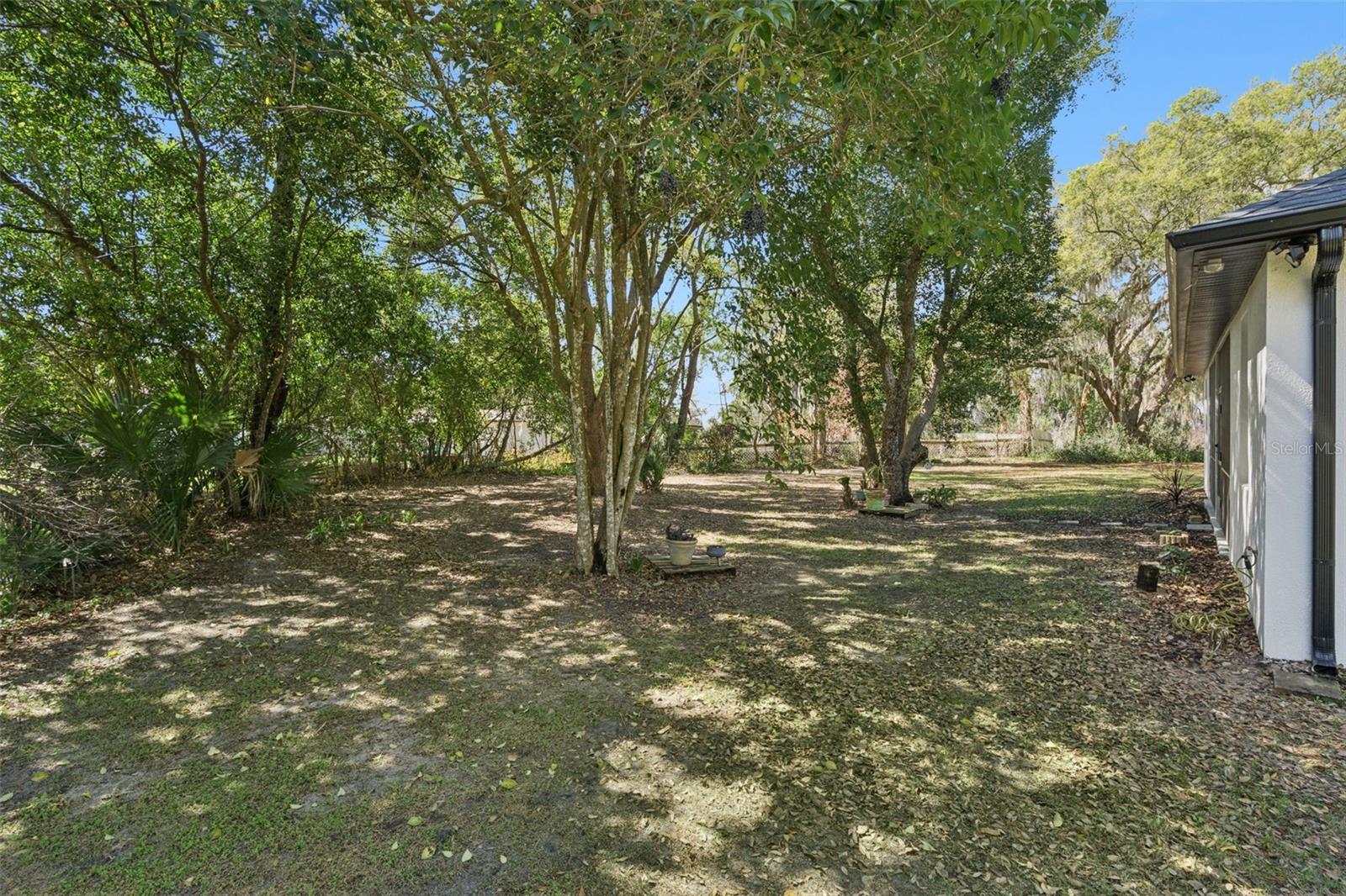 11722 LAKE MINNEOLA SHRS, MINNEOLA, FL, 34715