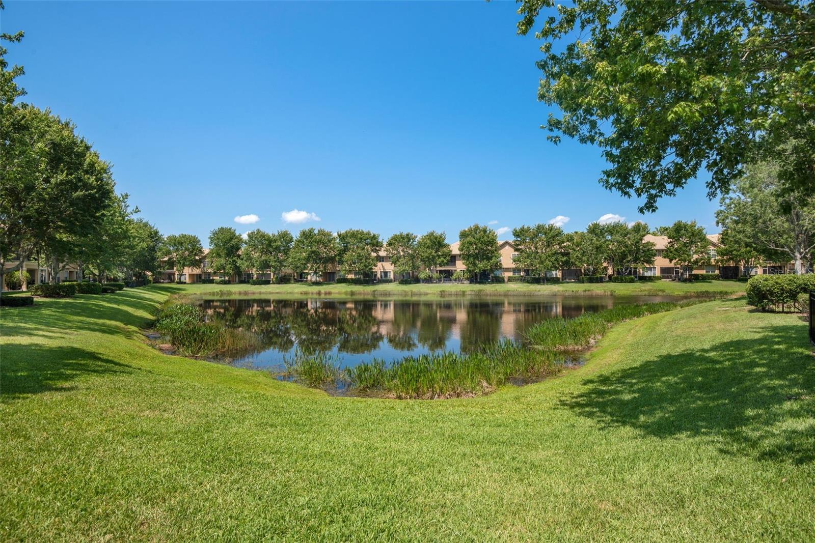 14608 MIRABELLE VISTA CIR, TAMPA, FL, 33626