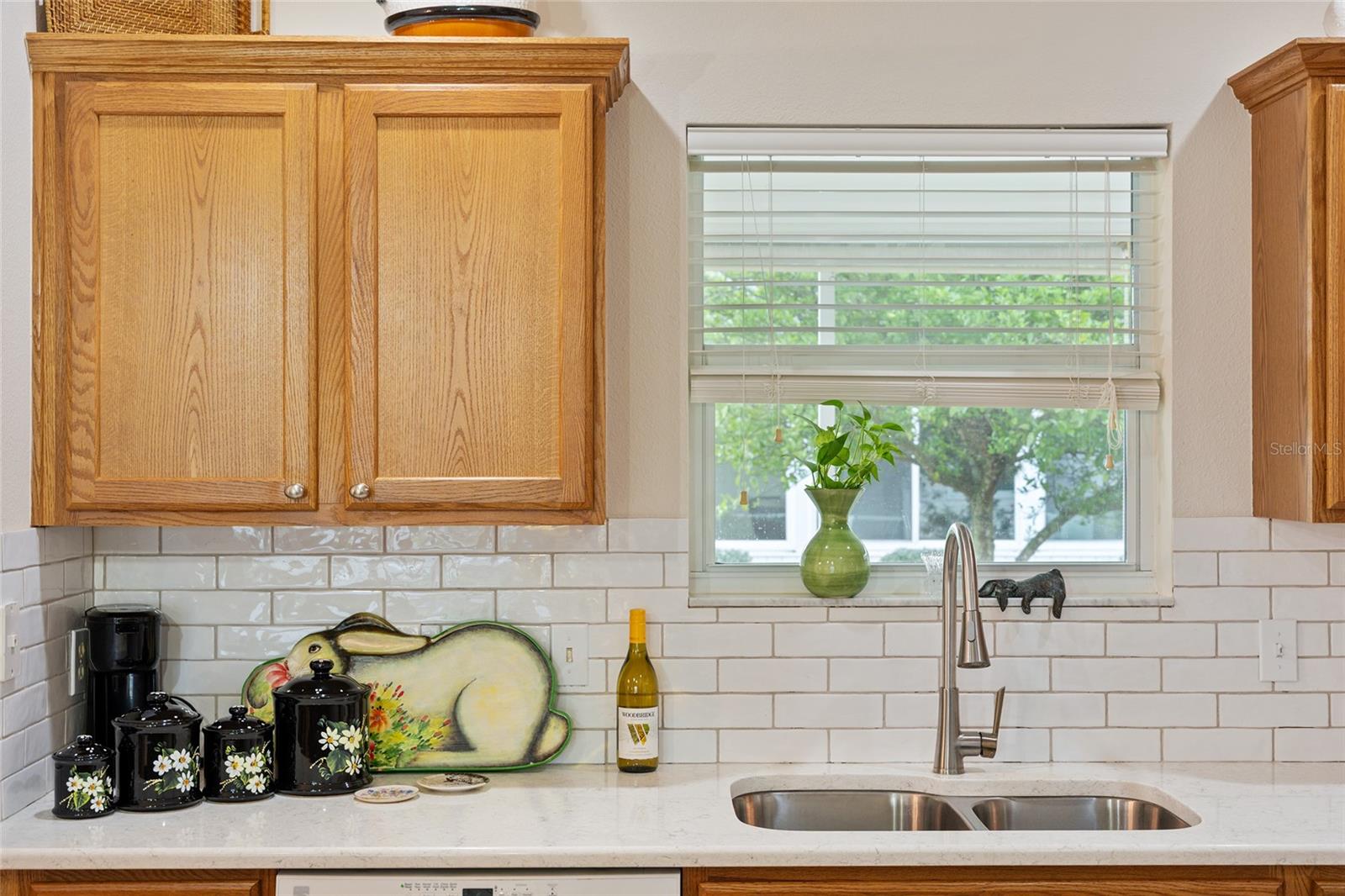 17713 SE 89TH MILFORD AVE, THE VILLAGES, FL, 32162