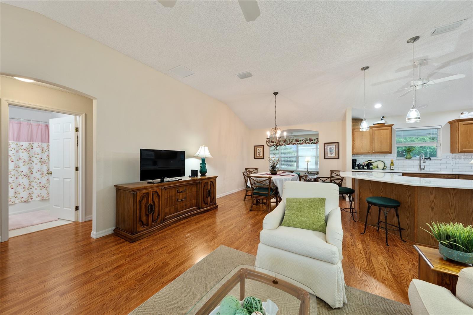 17713 SE 89TH MILFORD AVE, THE VILLAGES, FL, 32162