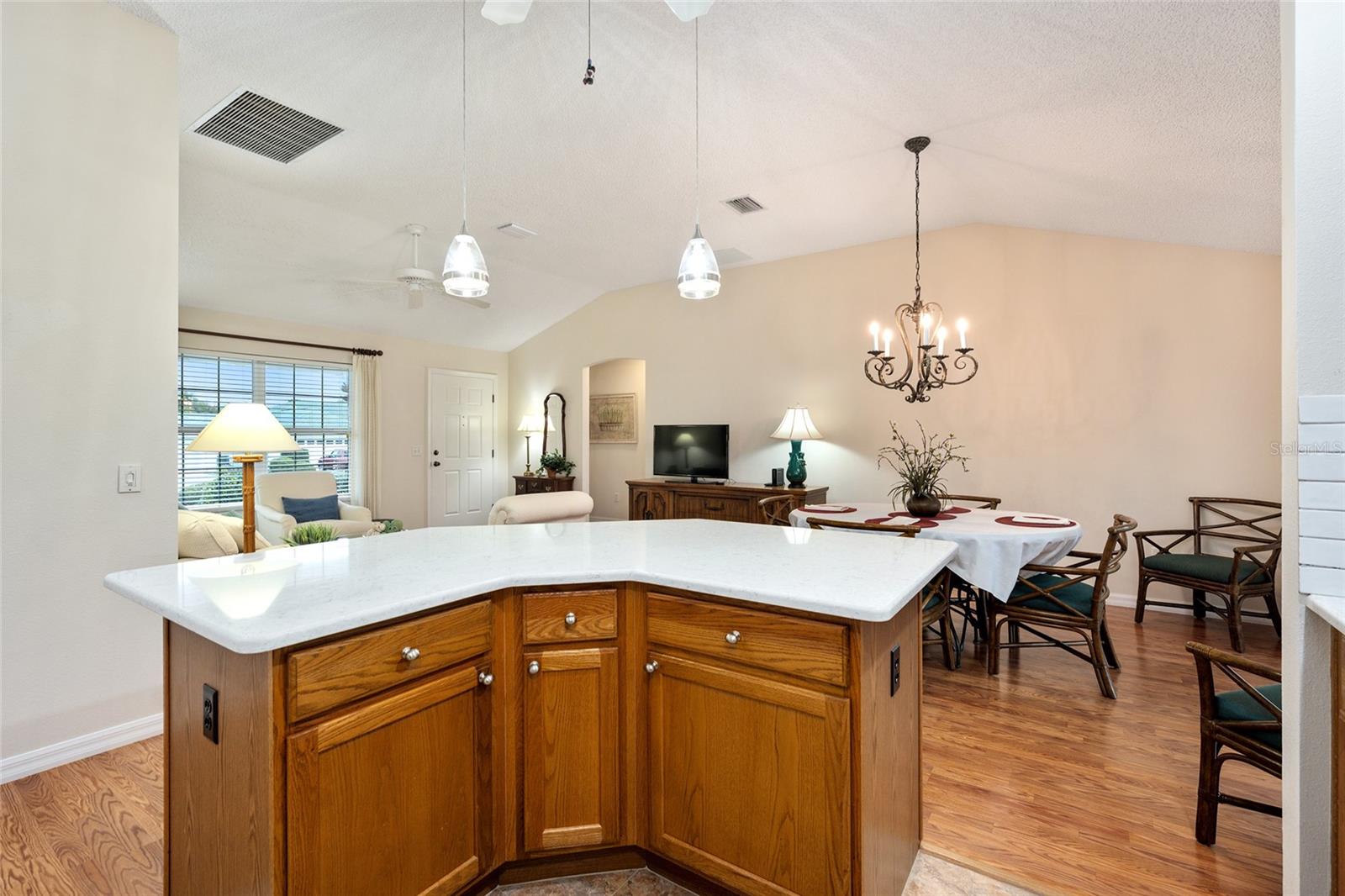 17713 SE 89TH MILFORD AVE, THE VILLAGES, FL, 32162