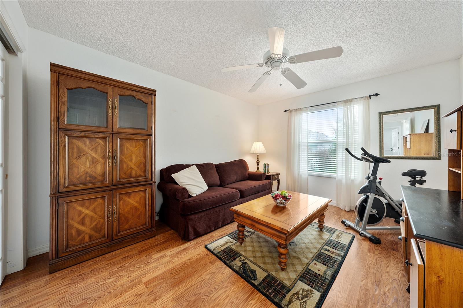 17713 SE 89TH MILFORD AVE, THE VILLAGES, FL, 32162