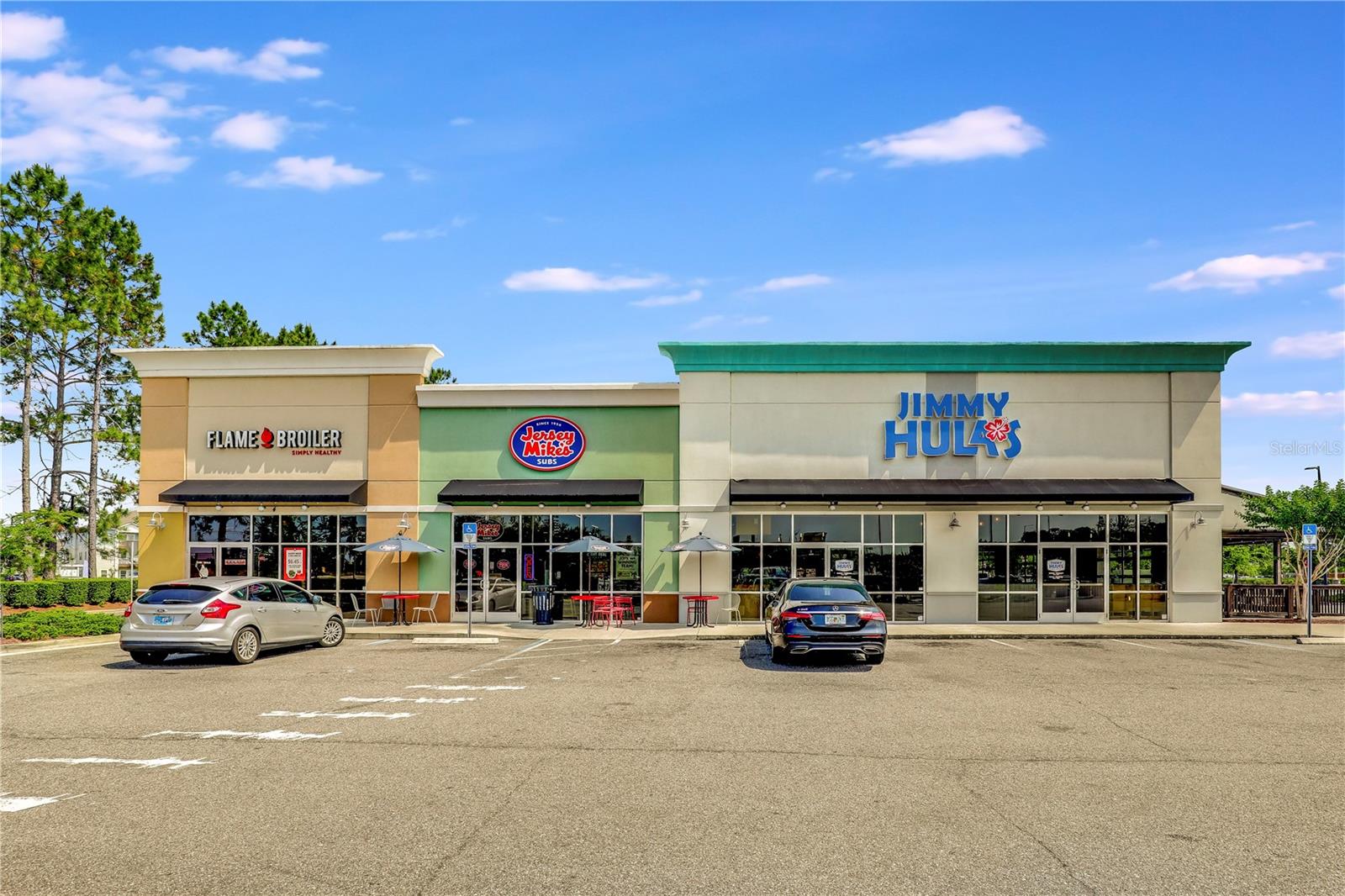 519 TYNES BLVD, MIDDLEBURG, FL, 32068