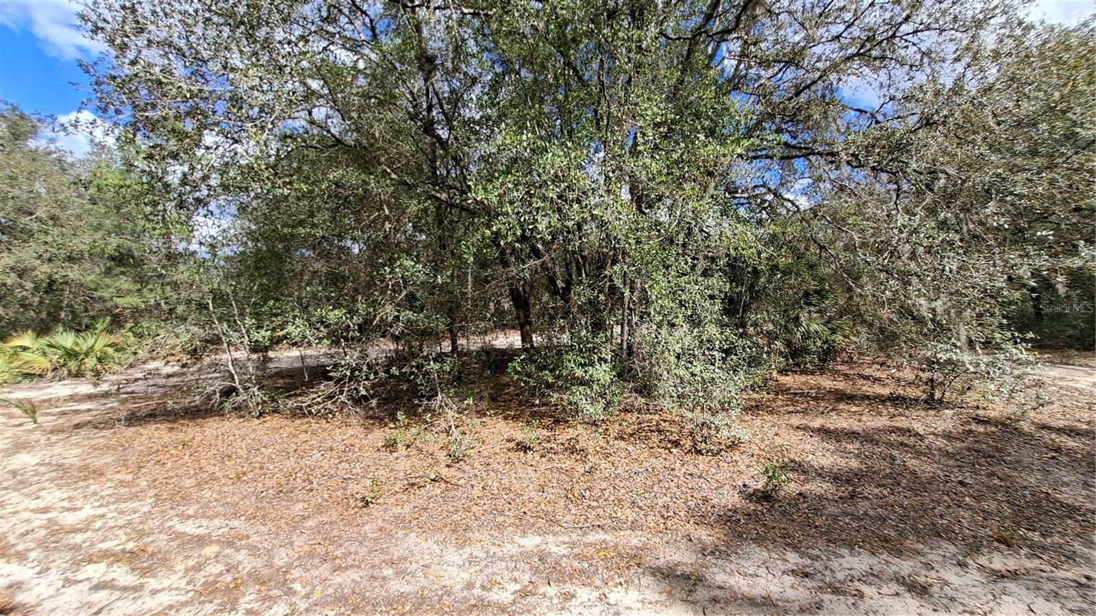 FISHER WAY, OCKLAWAHA, FL, 32179