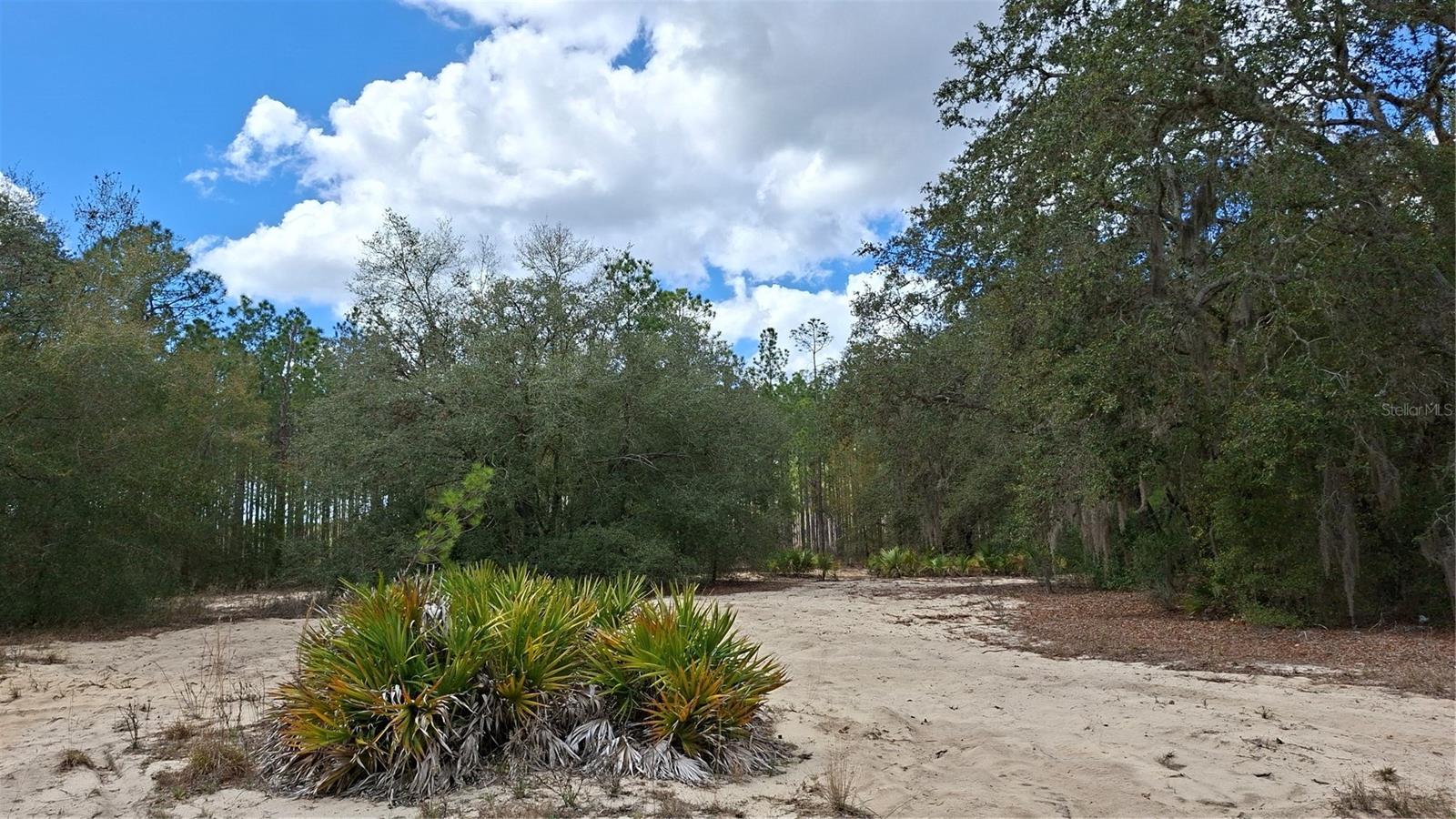 FISHER WAY, OCKLAWAHA, FL, 32179