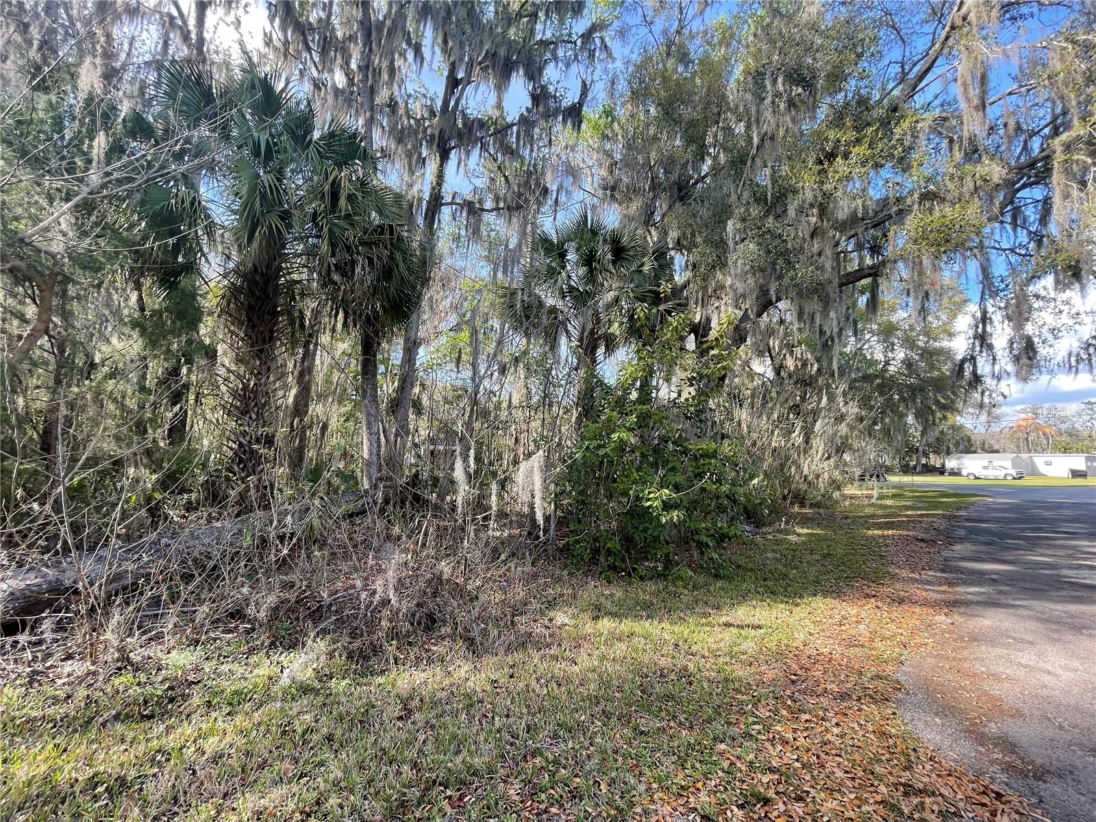 TBD SE 40TH LOOP, OCALA, FL, 34480