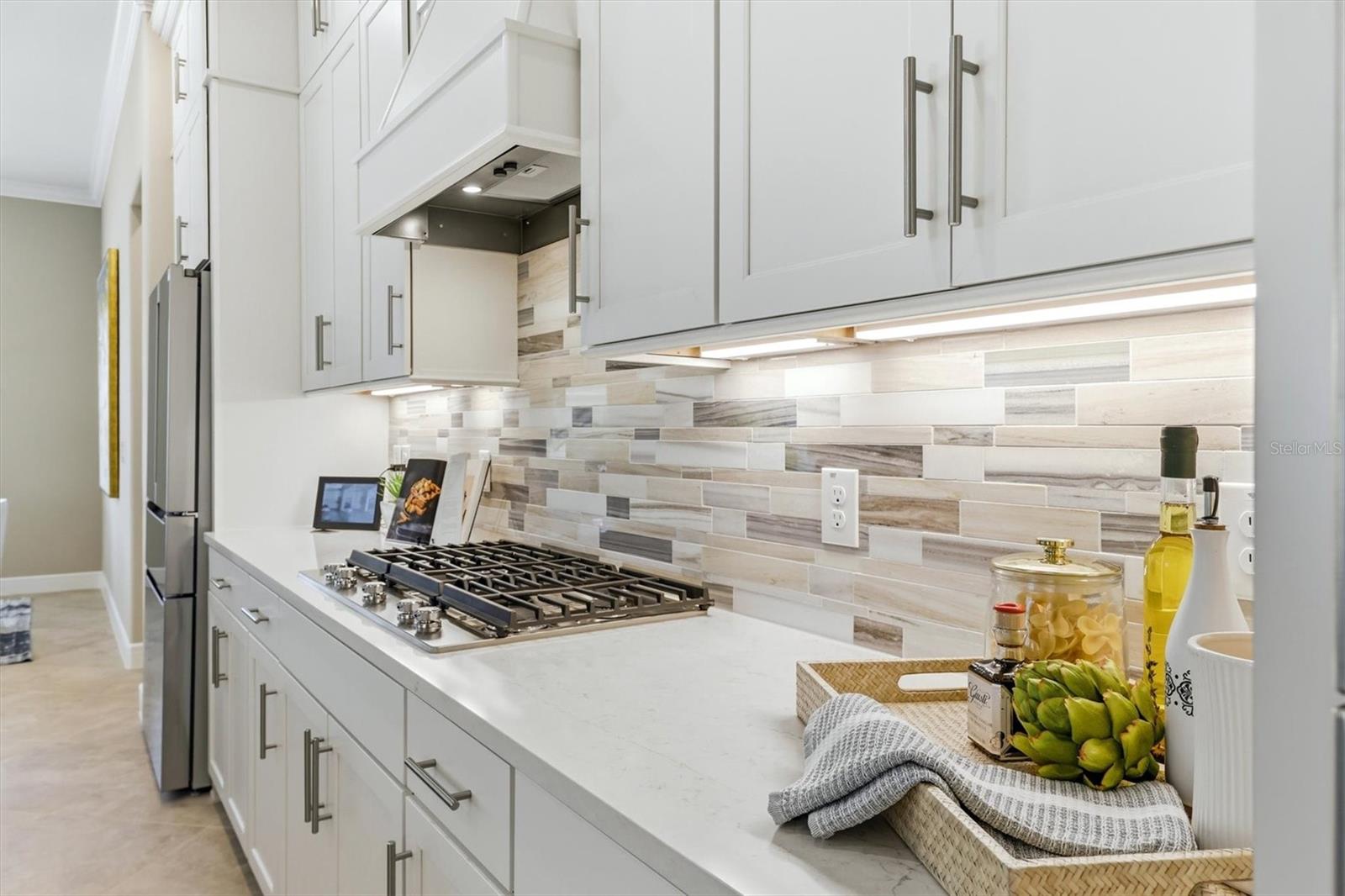 9213 SAND DUNE CV, PARRISH, FL, 34219