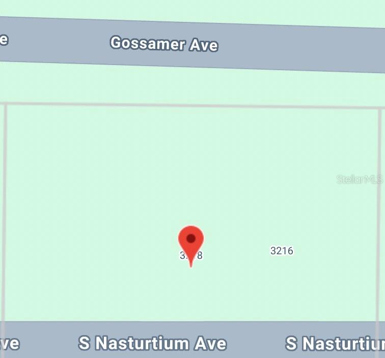 3218 GOSSAMER AVE, LAKE PLACID, FL, 33852