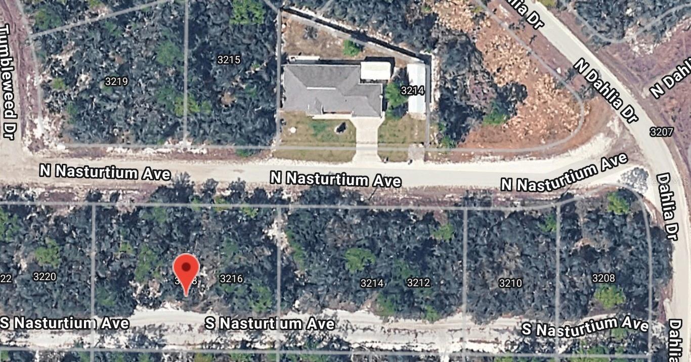 3218 GOSSAMER AVE, LAKE PLACID, FL, 33852